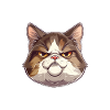 Funny Cat Happy Face