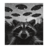 Raccoon Selfie with Alien UFO