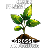 PETITE PLANTE, GRAND ESPOIR