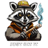 RACCOON JOINT JUST HIT IT