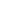 Bull Head Taurus