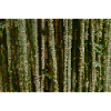 Forest Lines Camouflage Pattern