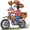 Adventurous cow on motorcycle