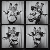 Funny Giraffe Sunglasses Photo Booth