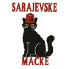 Chat Sarajevo Fez