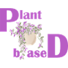 Plant Based – Pink Design Potted Plant