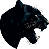 schwarzer panther