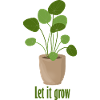 let it grow – plate plant