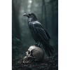 Dark Raven on Skull