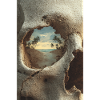 Tropical Island in Skull