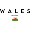 Flag of Wales, made in Wales