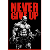 Never_Give_Up