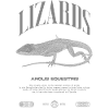 Cuban Knight Anole Reptile Keeper Lizard