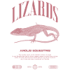 Cuban Knight Anole Reptile Keeper Lizard