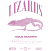 Cuban Knight Anole Reptile Keeper Lizard