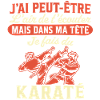 in my head I do karate