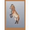 High-riding horse