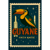 Toucan Spatial Guyana