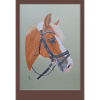 Pferdeporträt mit Reitbridle