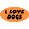 canine