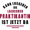 Intern Painter Paint Shop Internship