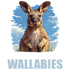 Wallabies Wallaby