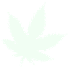 Feuille de Cannabis Silhouette Menthe