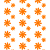 Orange Blossoms on Black
