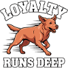 Loyalty runs deep – Foxred Labrador