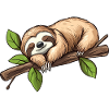 Cute Sleeping Sloth