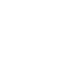 Turtle Cowboy Hat Western