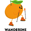 Wanderine – Tangerine in hiking outfit
