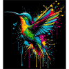 colibri
