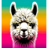 Alpaca