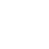 Paranormal Investigator