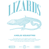 Cuban Knight Anole Reptile Keeper Lizard
