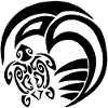 Black turtle and ocean