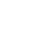 White turtle and ocean