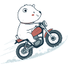Polar Rider on Motorcycle
