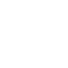 Owl Animal