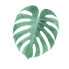 Monstera Leaves T-Shirt – Urban Jungle Style