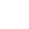 Polar Bear Head Polar Bear