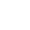 Rooster Animal