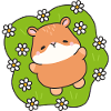Daisy Field Hamster