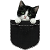 Cat Pocket gluurt schattige kat in de zak