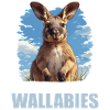 Wallabies Wallaby
