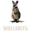Wallabies Wallaby