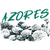 Azores Botanical Hydrangeas Turquoise