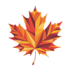 Feuille d’automne - Logo Low Poly cool