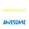 Extra Chromosome Extra Awesome